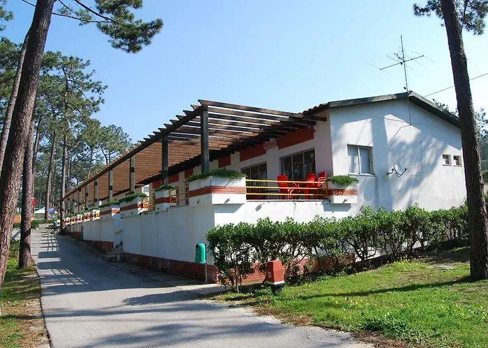 Camping Parque De Campismo Orbitur